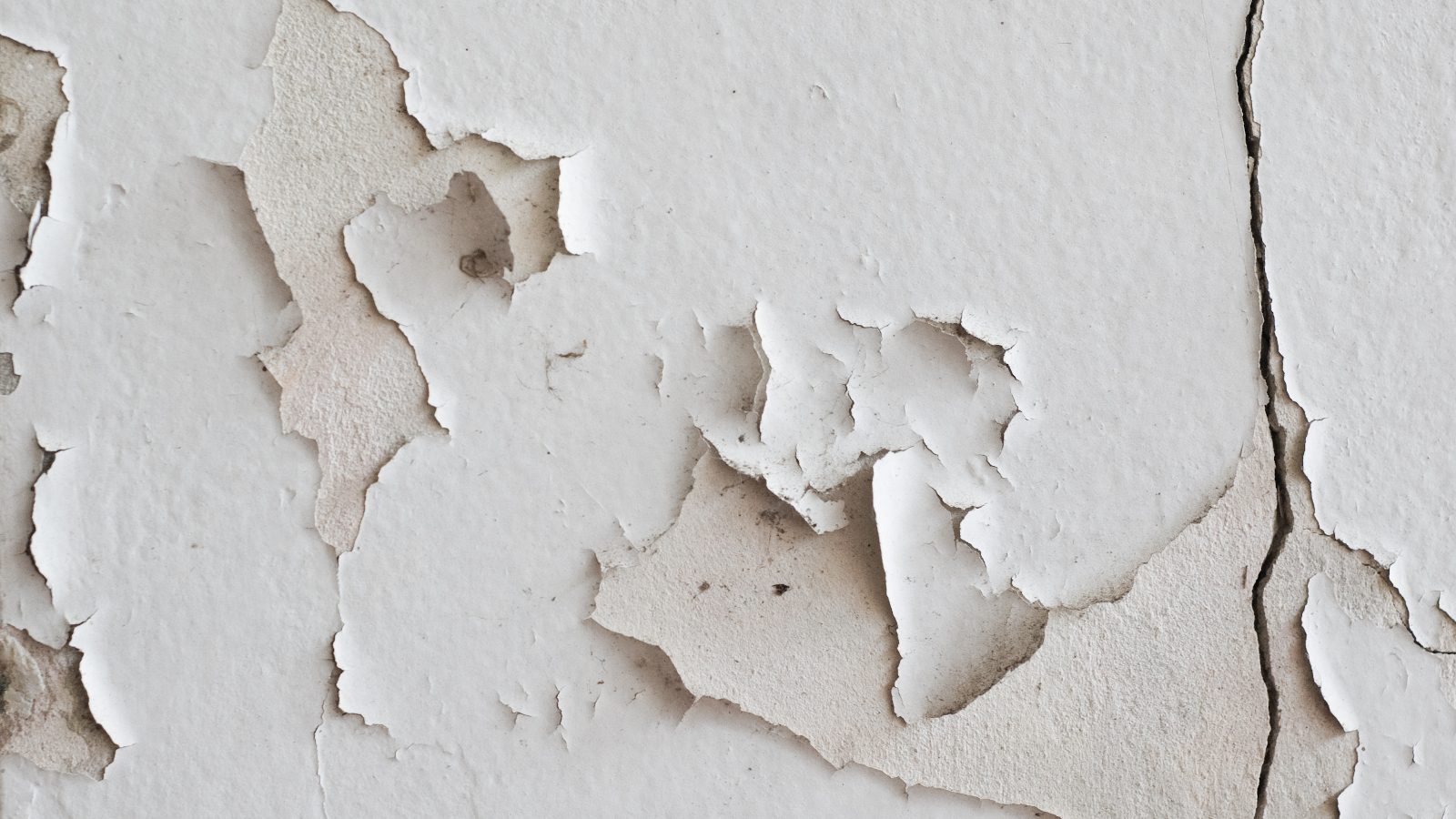 Paint peeling off wall